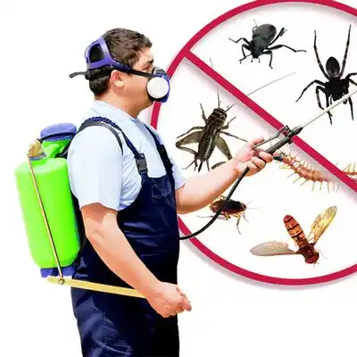 pest control Harrisburg